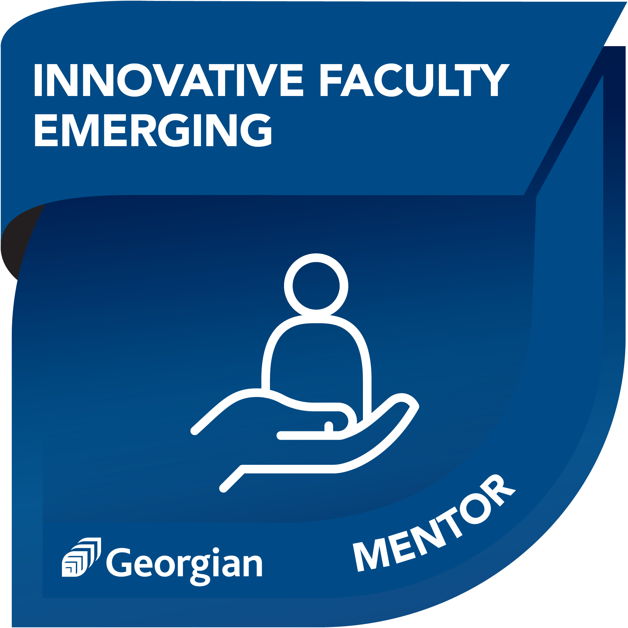 Emerging Mentor